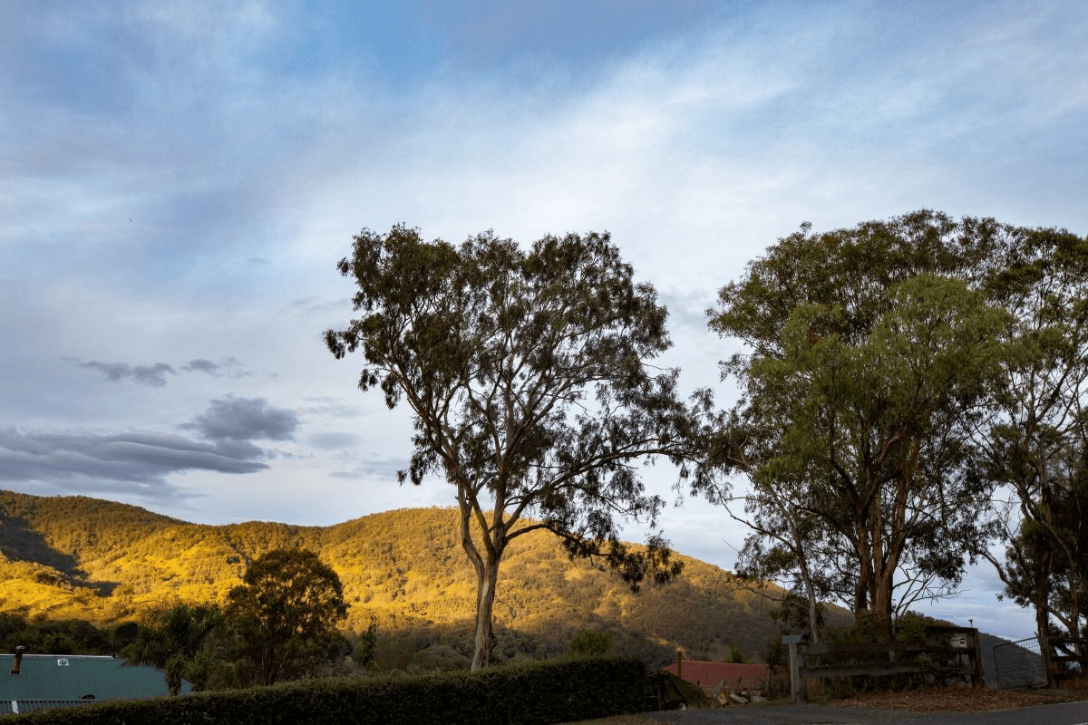 1 Pages River Road, Murrurundi, NSW 2338