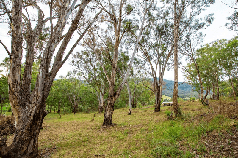 1 Pages River Road, Murrurundi, NSW 2338