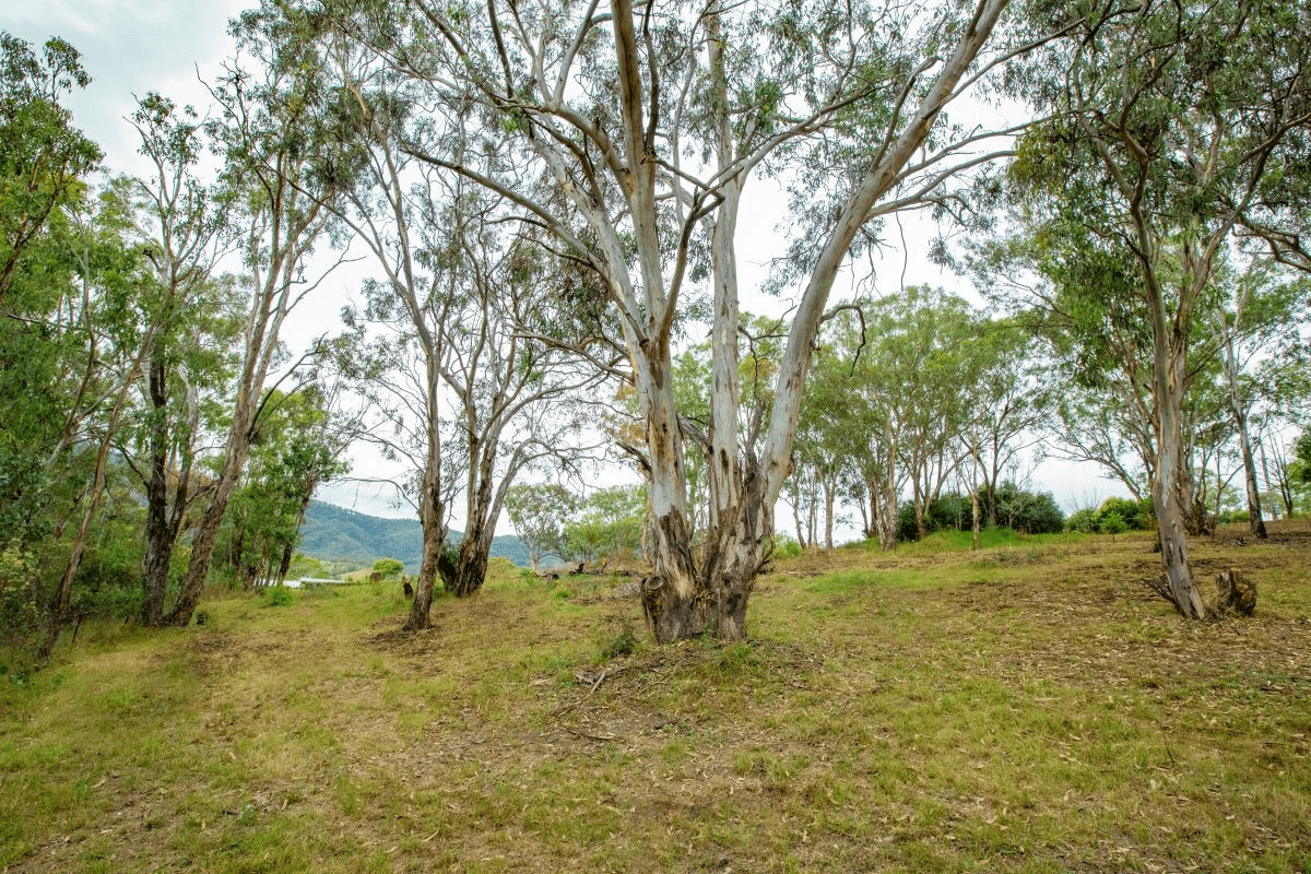 1 Pages River Road, Murrurundi, NSW 2338