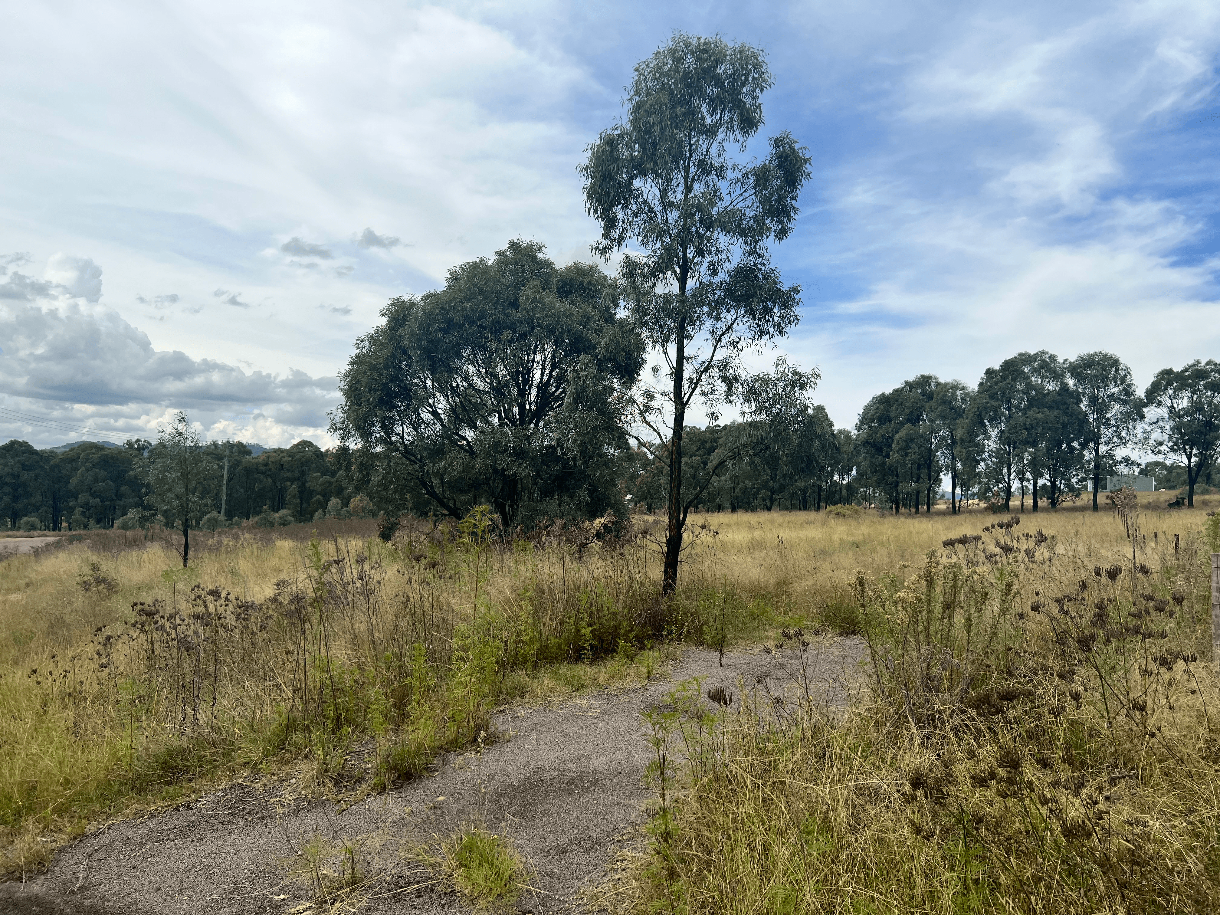 18 Babbler Crescent, Muscle Creek, NSW 2333