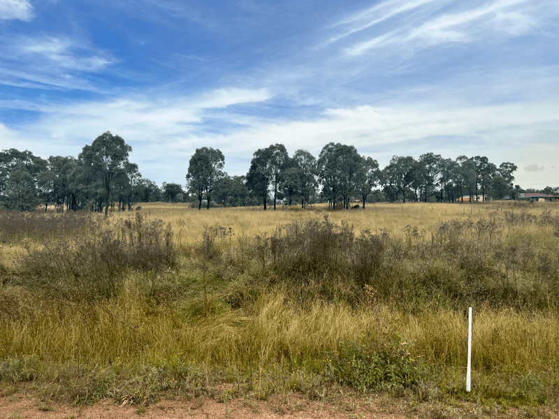 18 Babbler Crescent, Muscle Creek, NSW 2333