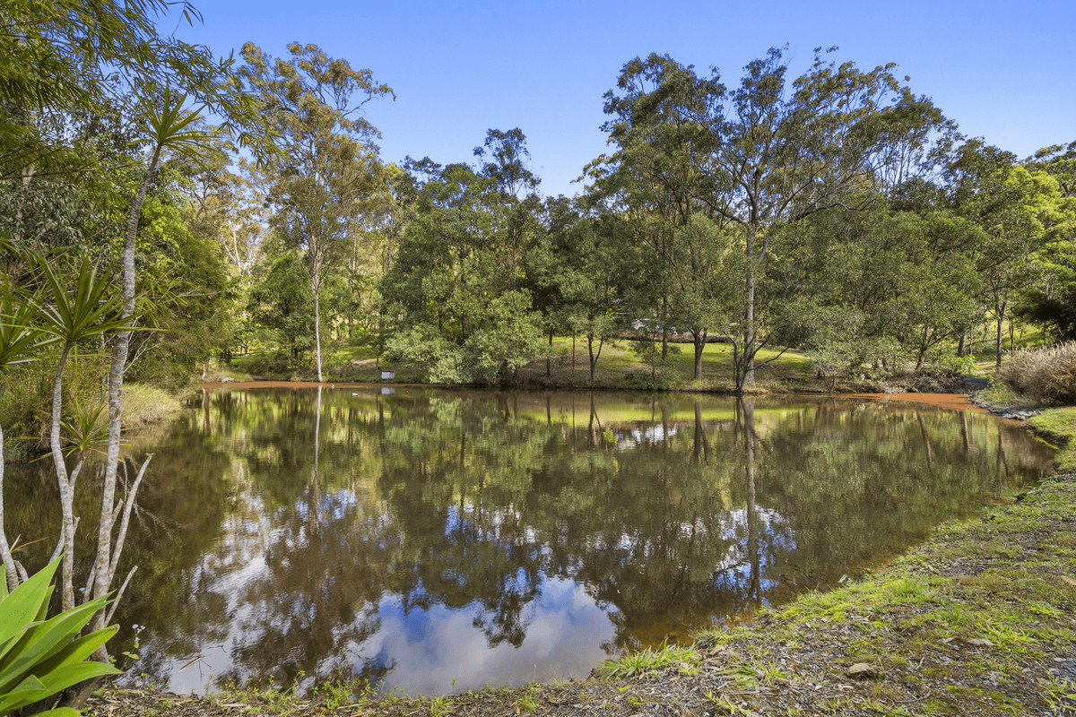 606 Nerang Murwillumbah Road, ADVANCETOWN, QLD 4211