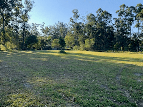 36 Thompson Road, BEERWAH, QLD 4519