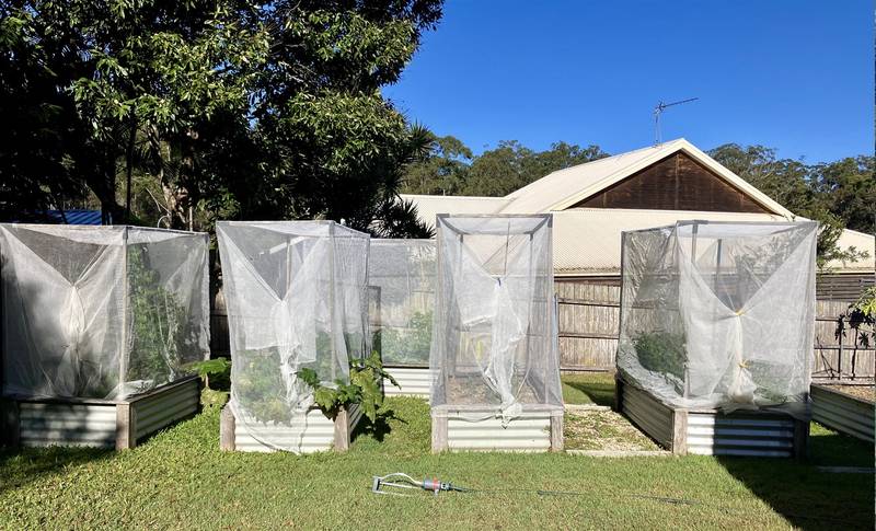 8 Doncaster Place, HYLAND PARK, NSW 2448