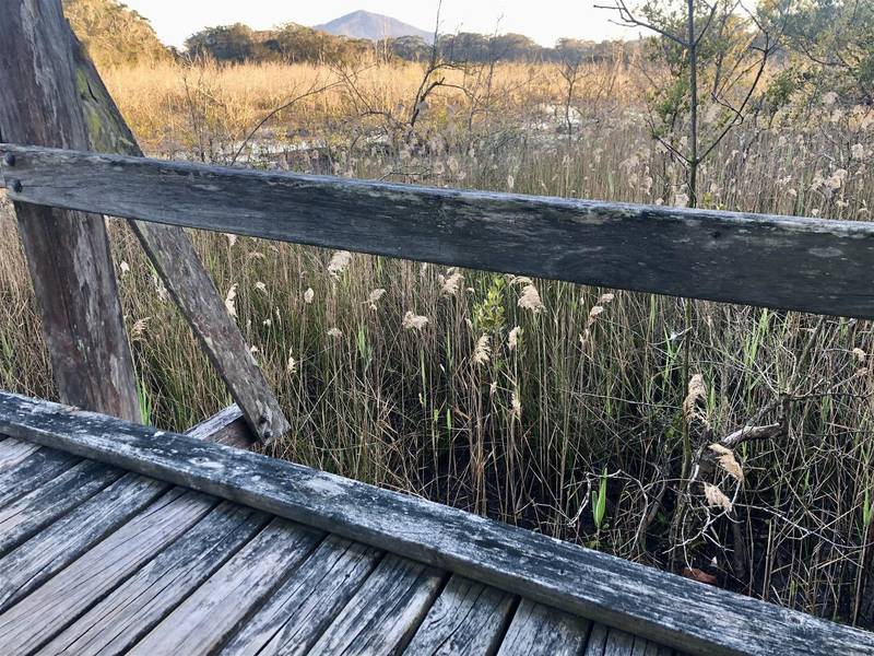 8 Doncaster Place, HYLAND PARK, NSW 2448