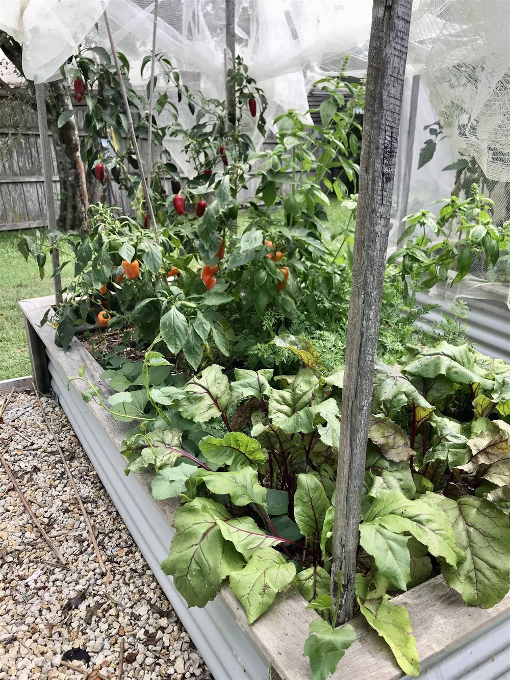 8 Doncaster Place, HYLAND PARK, NSW 2448