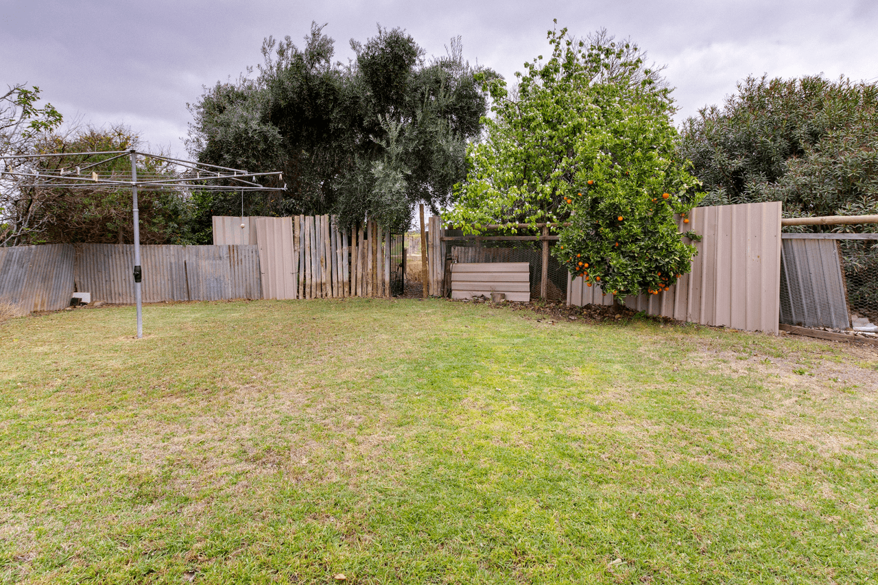 50 Arnold Coats Road, COBDOGLA, SA 5346