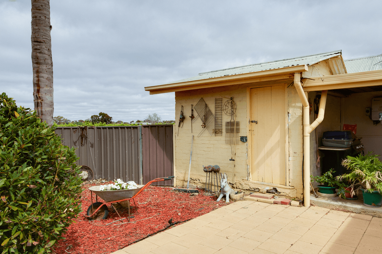 50 Arnold Coats Road, COBDOGLA, SA 5346