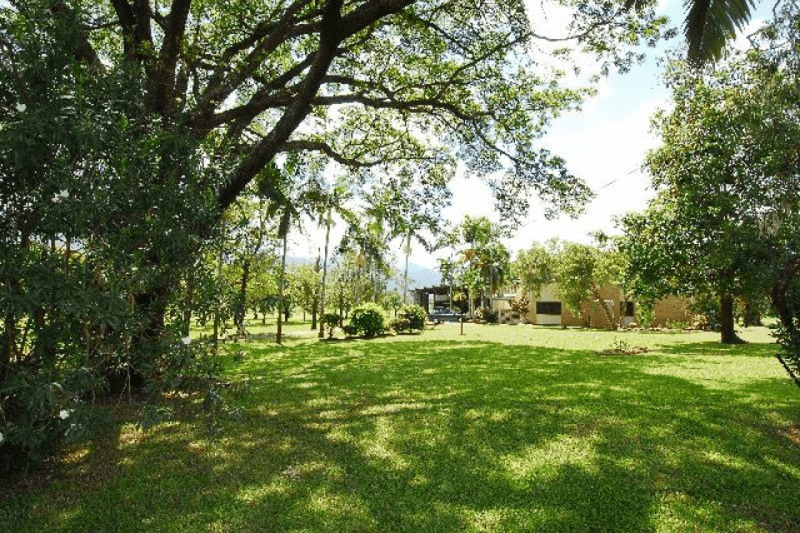 51 Piralko  Road, Mount Surround, QLD 4809