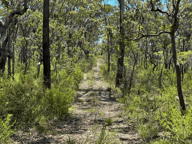 100 Mahogany Drive, Pillar Valley, NSW 2462