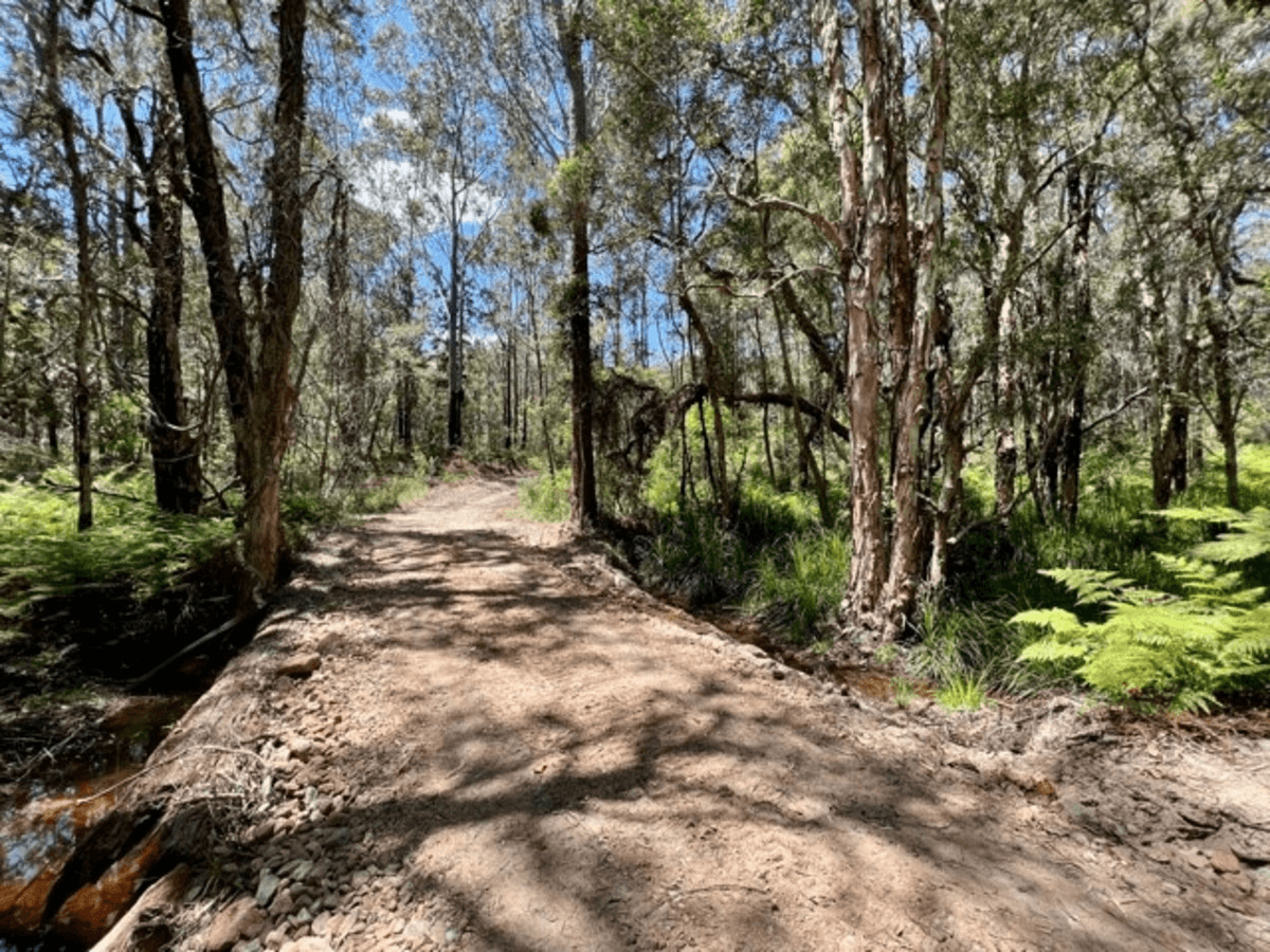 100 Mahogany Drive, Pillar Valley, NSW 2462