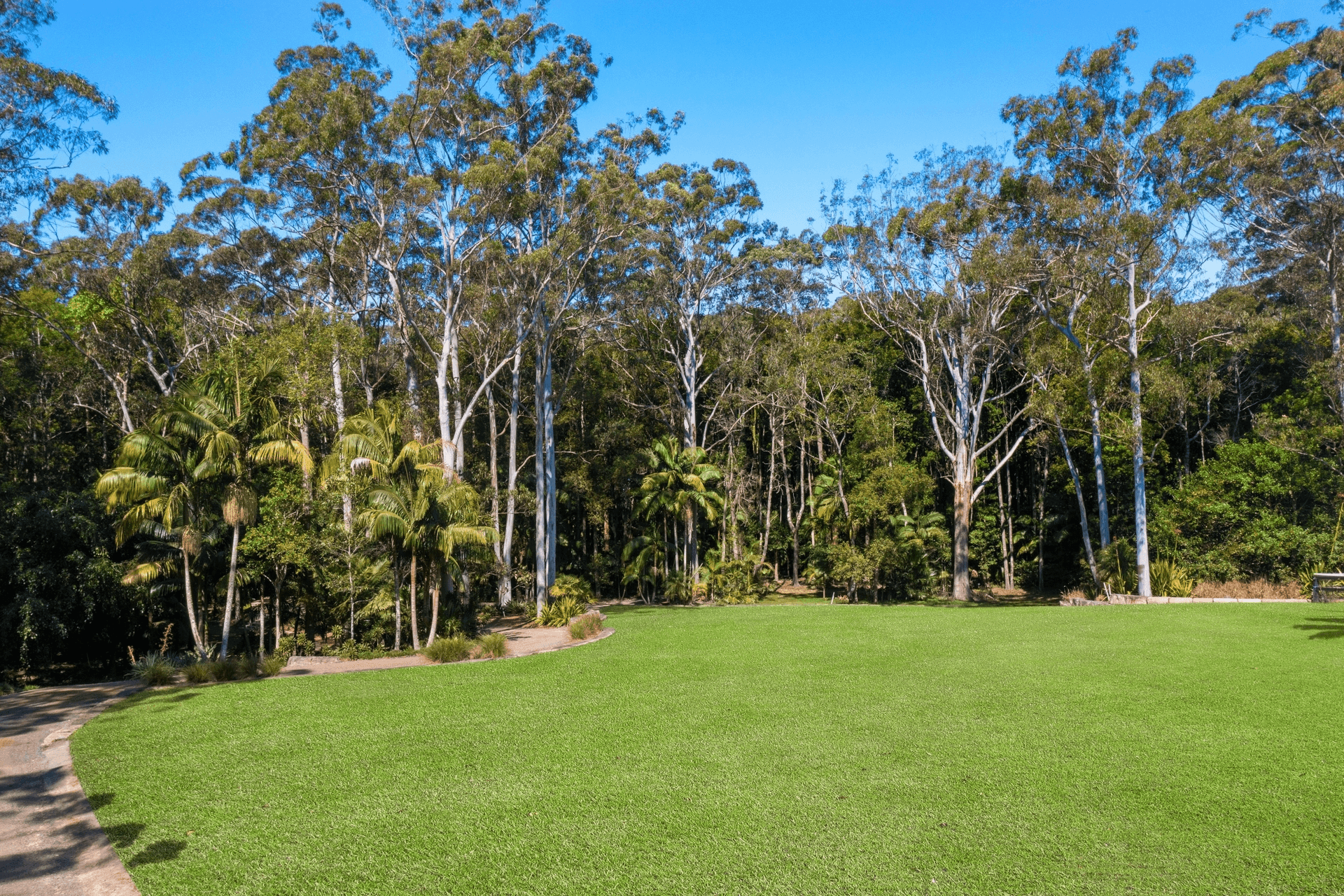 50 Wattle Tree Road, Holgate, NSW 2250