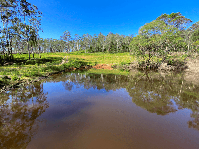 1591 Tyringham Road, DORRIGO, NSW 2453