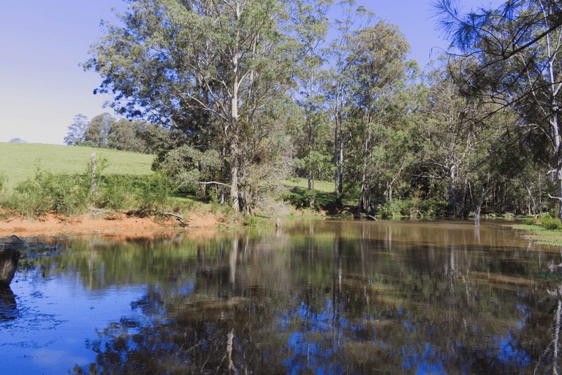 1591 Tyringham Road, DORRIGO, NSW 2453