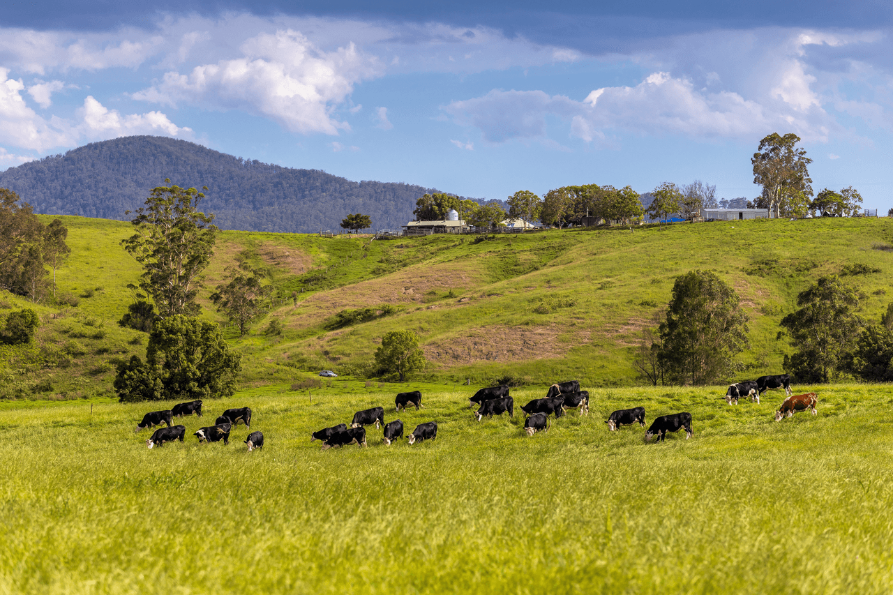 158 Kimbriki Road, BURRELL CREEK, NSW 2429