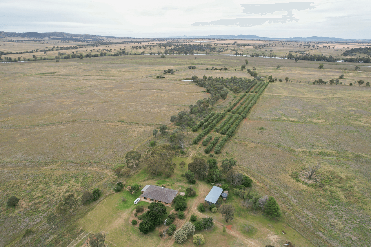 661 Corella Road, MANILLA, NSW 2346