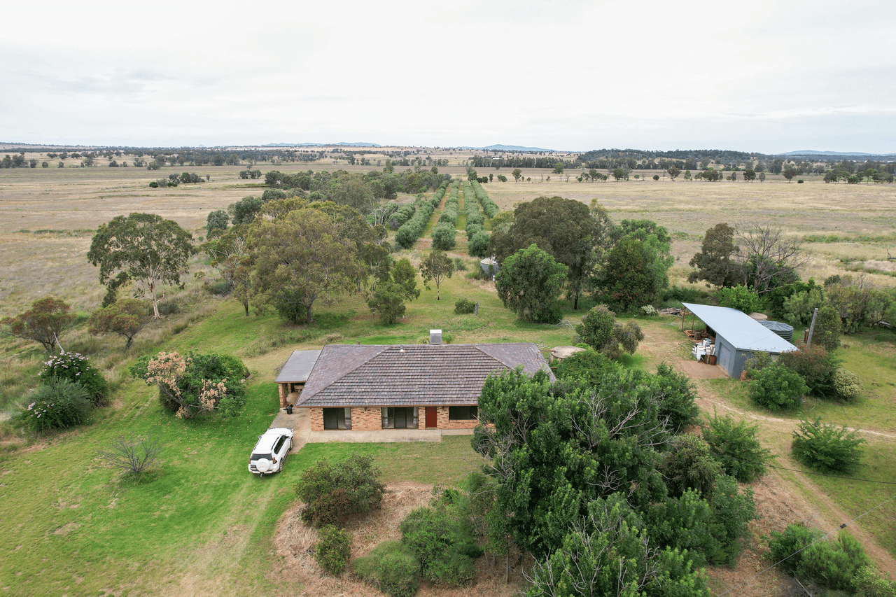 661 Corella Road, MANILLA, NSW 2346