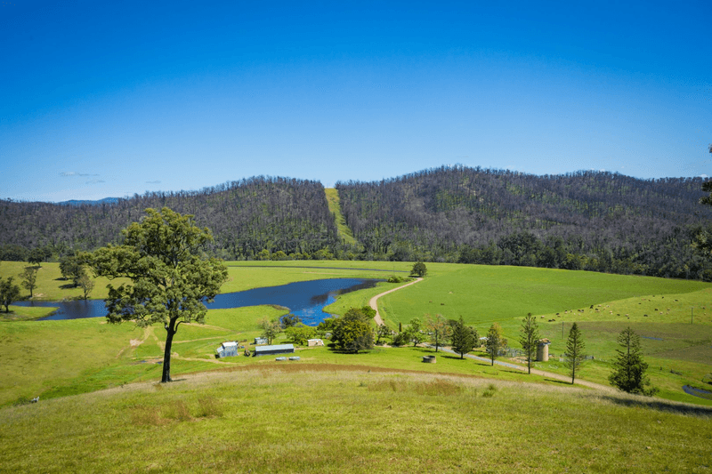 1188 Eurobodalla Road, EUROBODALLA, NSW 2545