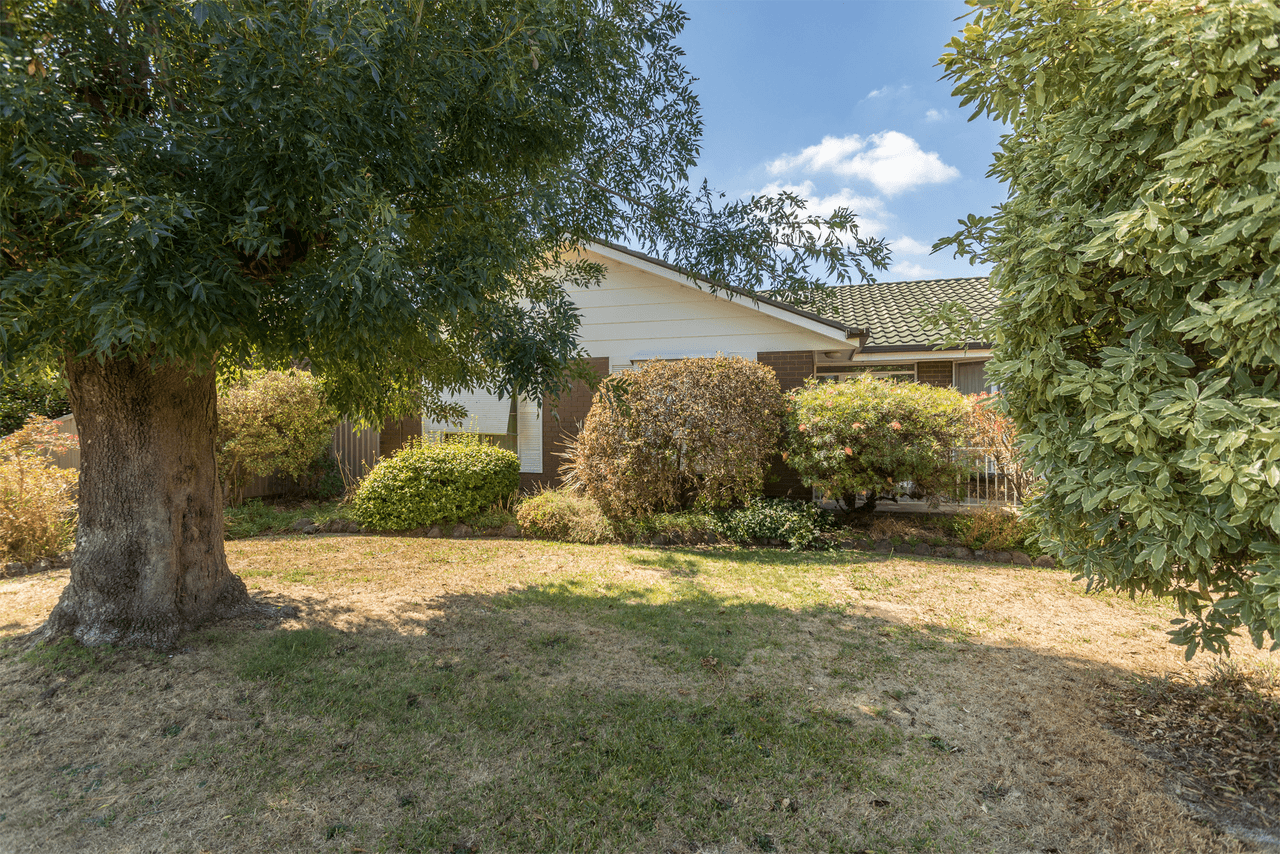 42 Gowrie Street, TATURA, VIC 3616