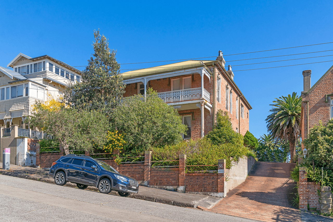 56 Perkins Street, The Hill, NSW 2300