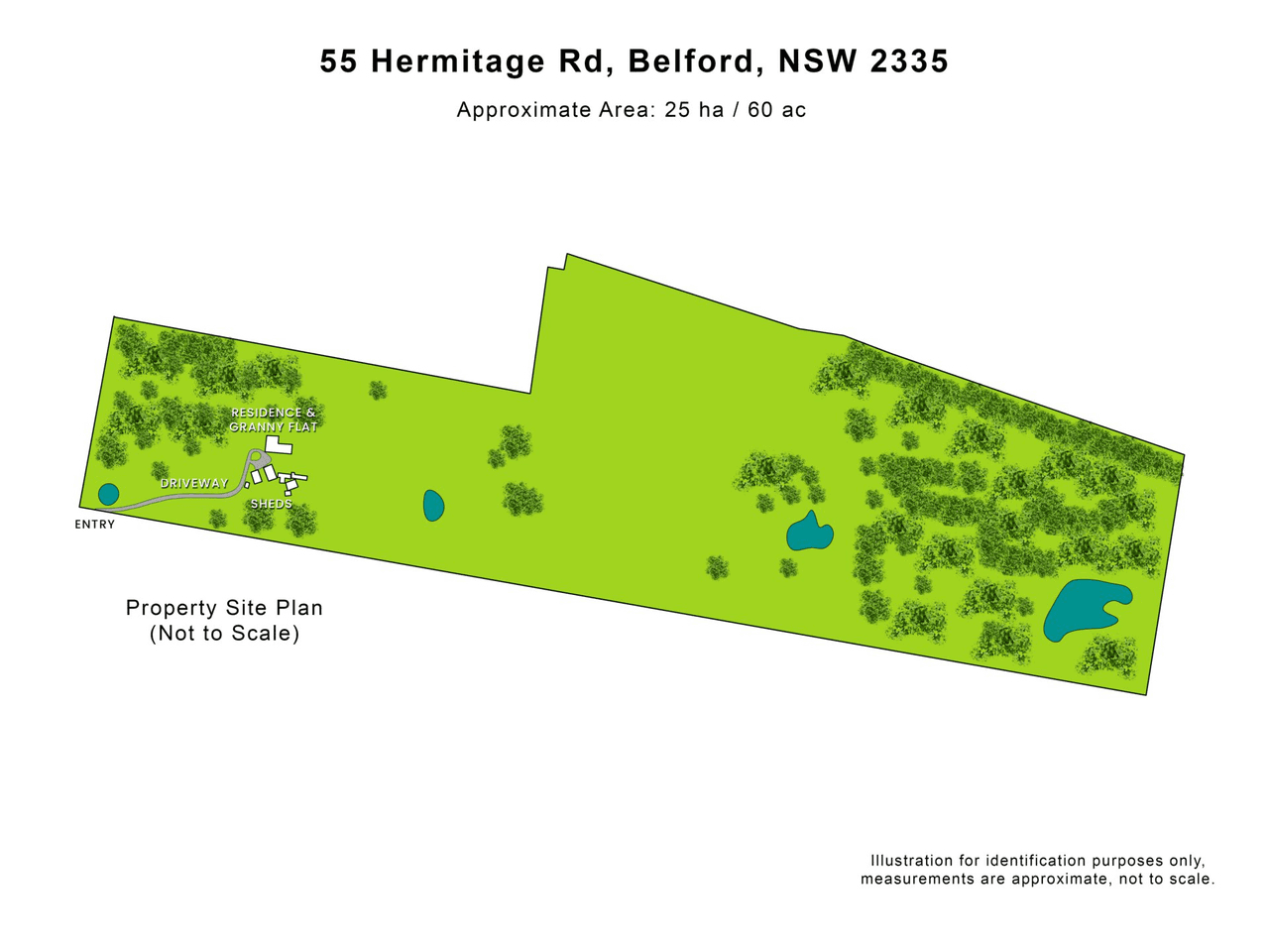 55 Hermitage Road, BELFORD, NSW 2335