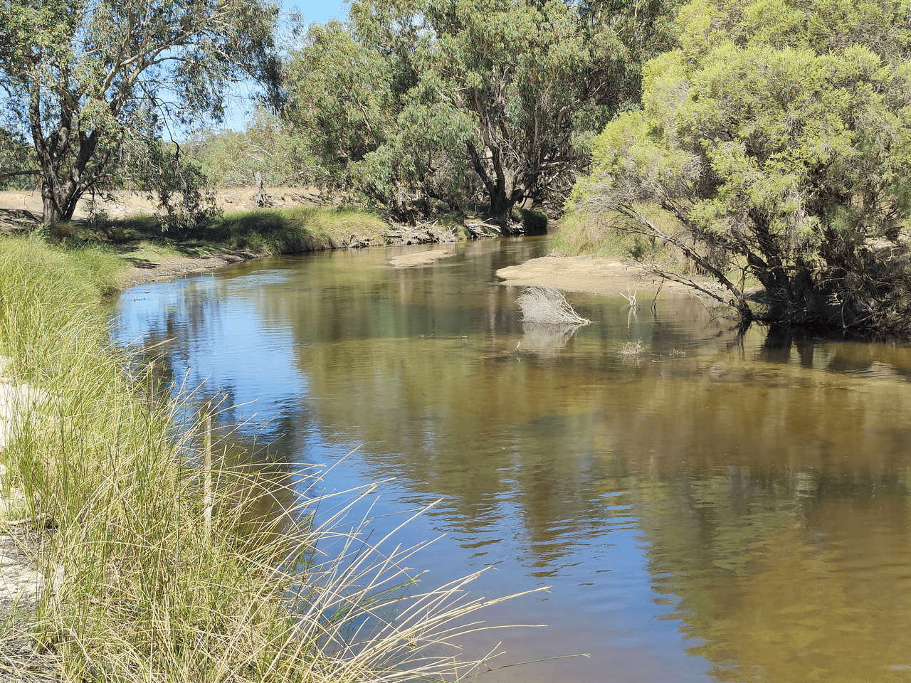 250 Nabaroo Road, COWALLA, WA 6503