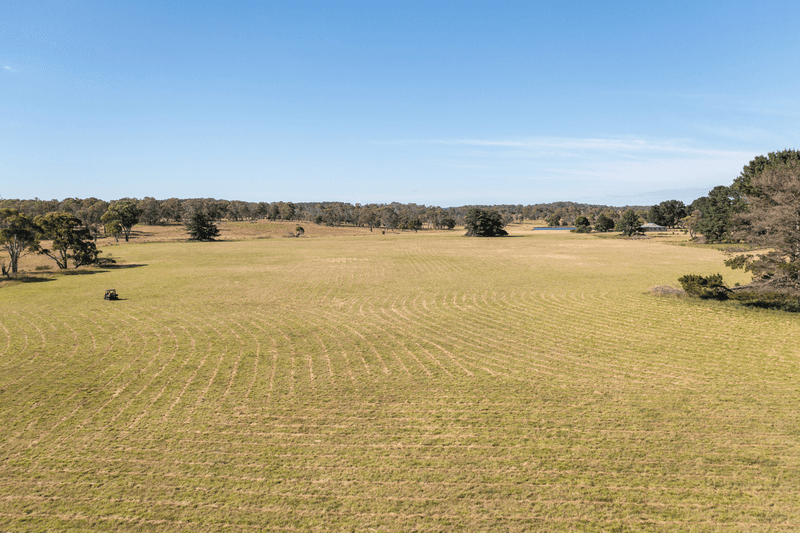 485 Black Mountain Road, BLACK MOUNTAIN, NSW 2365