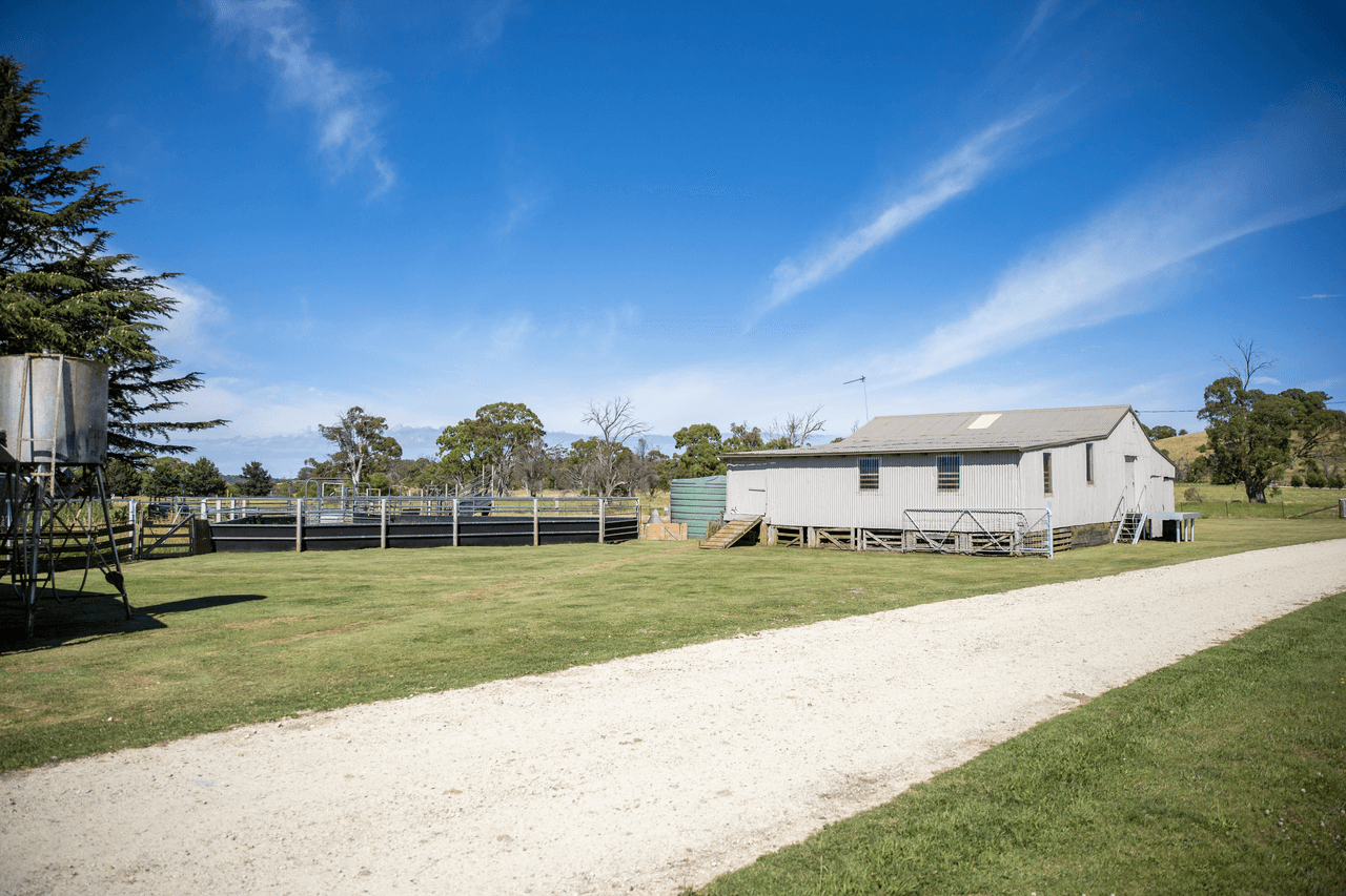 485 Black Mountain Road, BLACK MOUNTAIN, NSW 2365