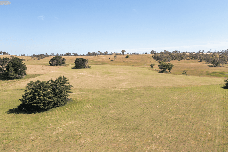 485 Black Mountain Road, BLACK MOUNTAIN, NSW 2365