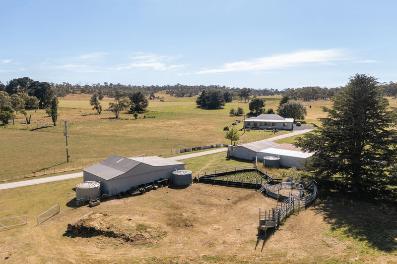 485 Black Mountain Road, BLACK MOUNTAIN, NSW 2365