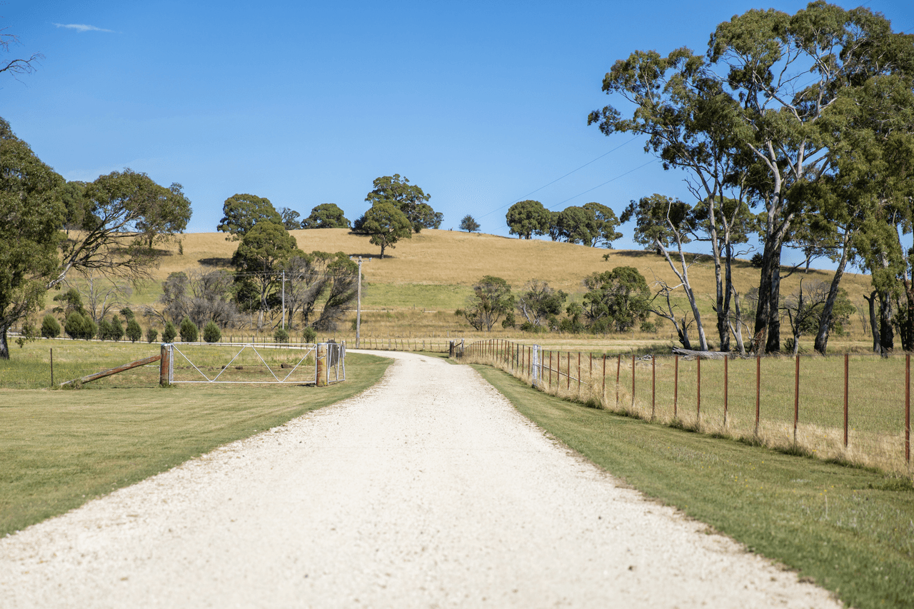 485 Black Mountain Road, BLACK MOUNTAIN, NSW 2365