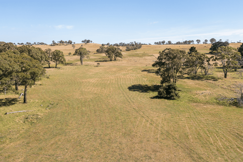 485 Black Mountain Road, BLACK MOUNTAIN, NSW 2365