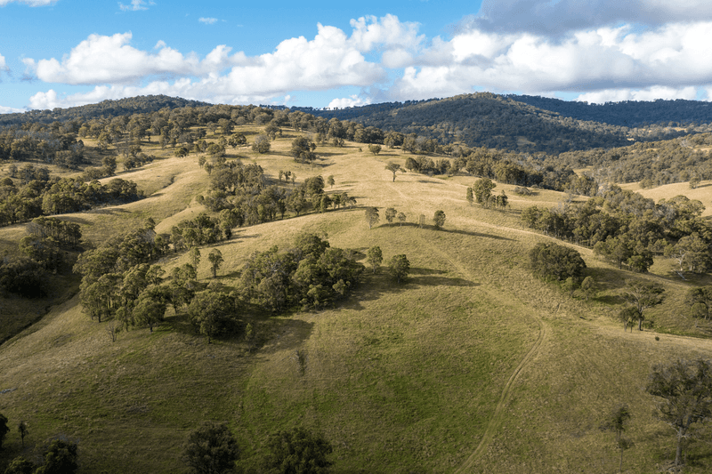 93 Armidale Gully Road, ARMIDALE, NSW 2350