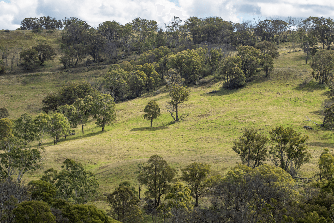 93 Armidale Gully Road, ARMIDALE, NSW 2350