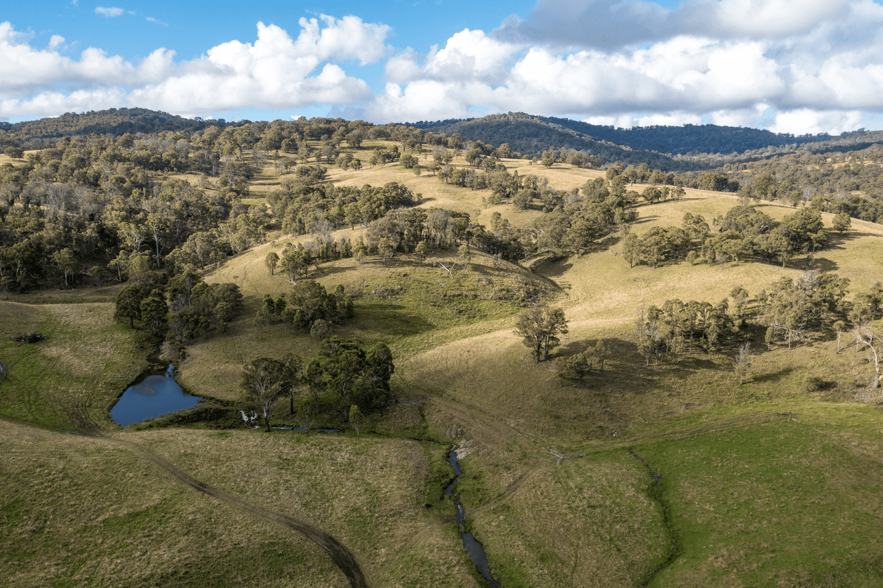 93 Armidale Gully Road, ARMIDALE, NSW 2350