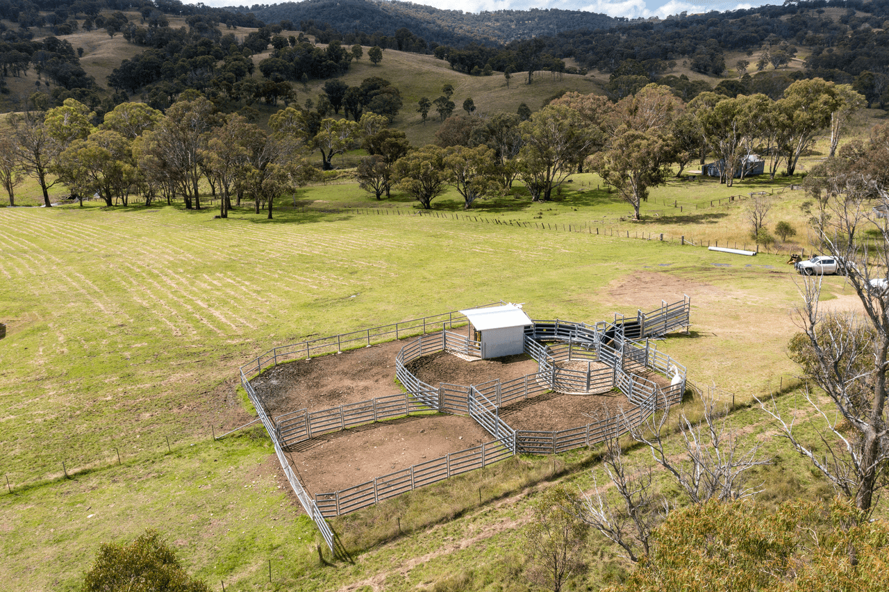 93 Armidale Gully Road, ARMIDALE, NSW 2350