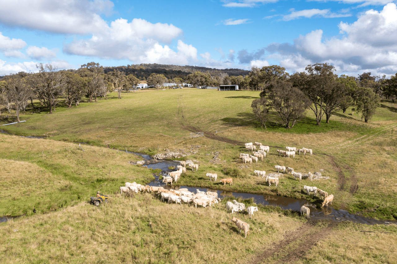 93 Armidale Gully Road, ARMIDALE, NSW 2350