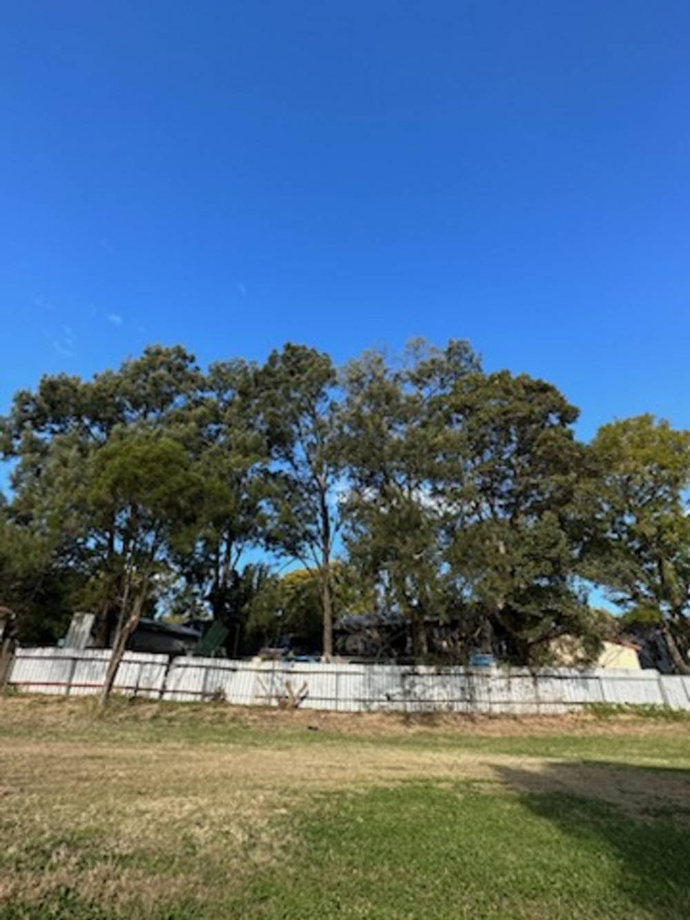 54 Vindin Street, Rutherford, NSW 2320