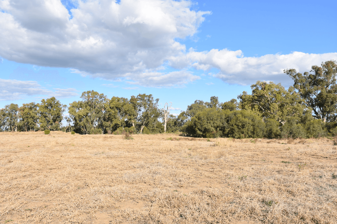 7 Jackson Grove, MOREE, NSW 2400