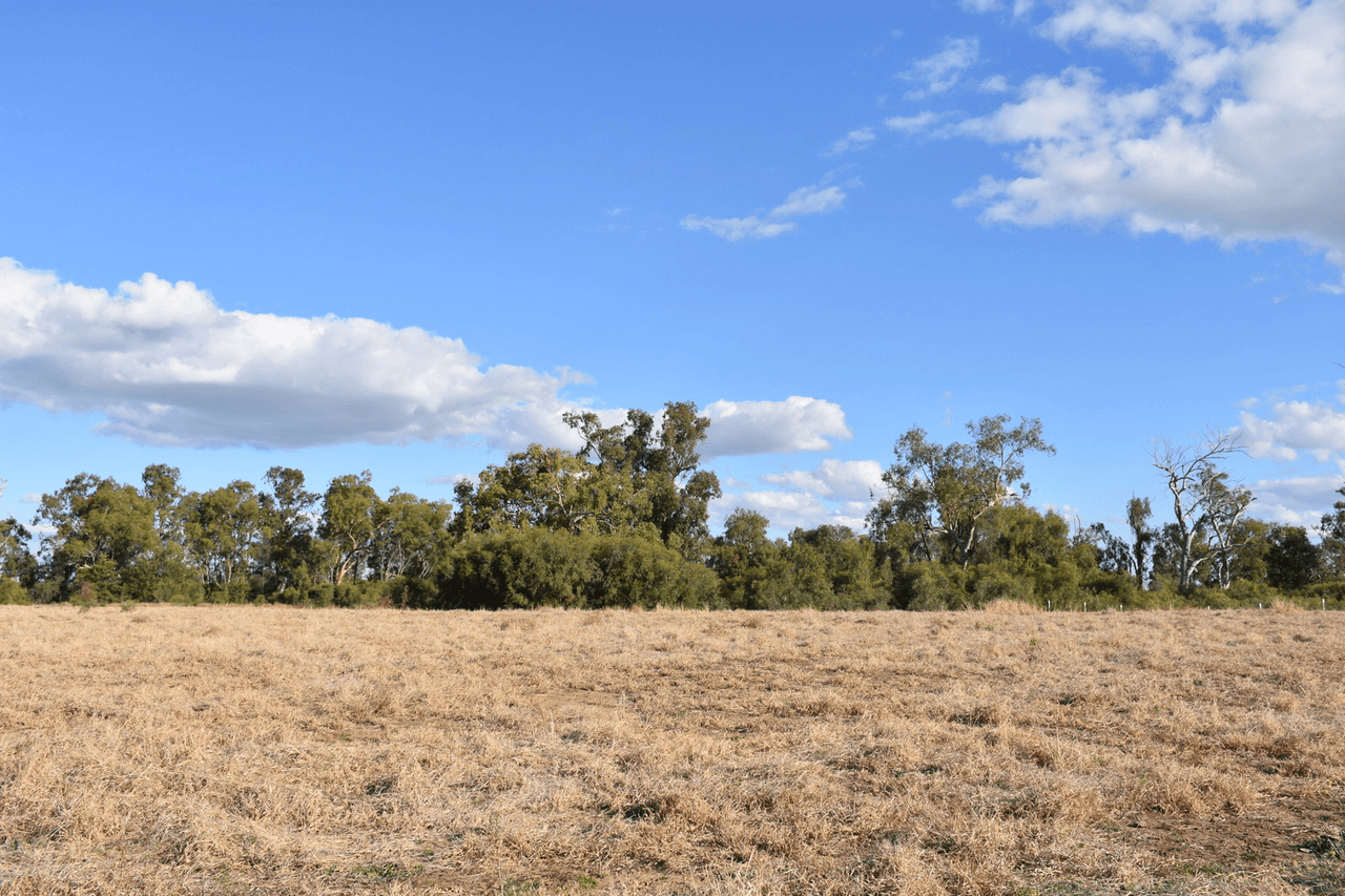 7 Jackson Grove, MOREE, NSW 2400