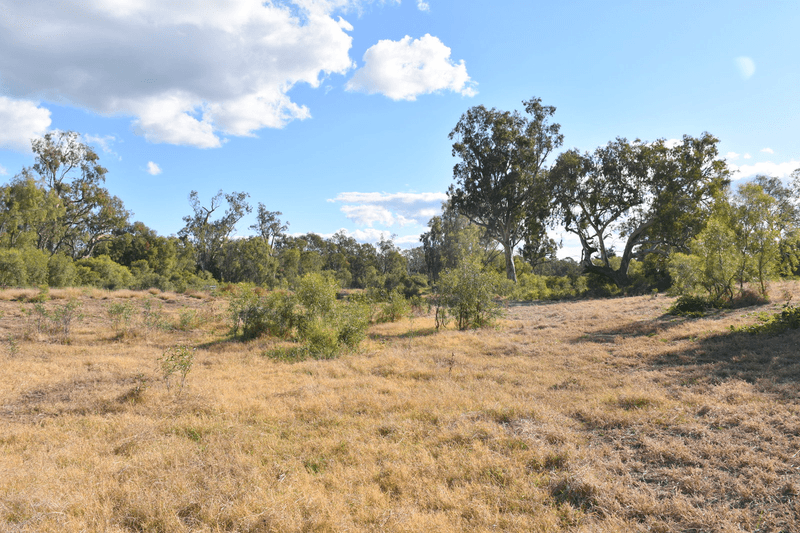 7 Jackson Grove, MOREE, NSW 2400