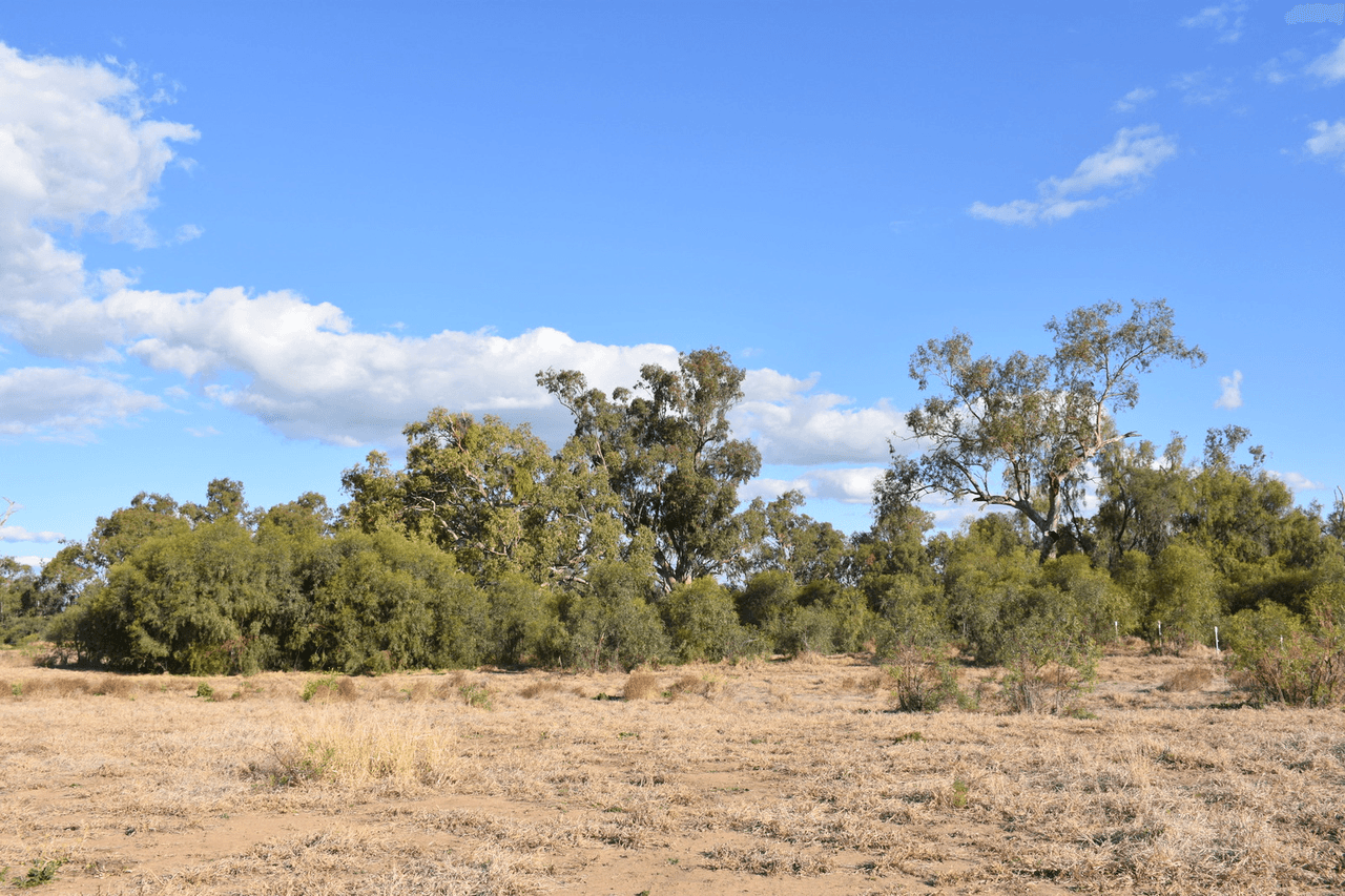 7 Jackson Grove, MOREE, NSW 2400