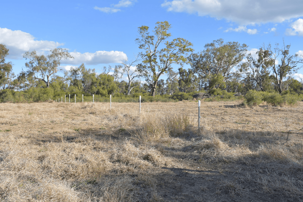 7 Jackson Grove, MOREE, NSW 2400