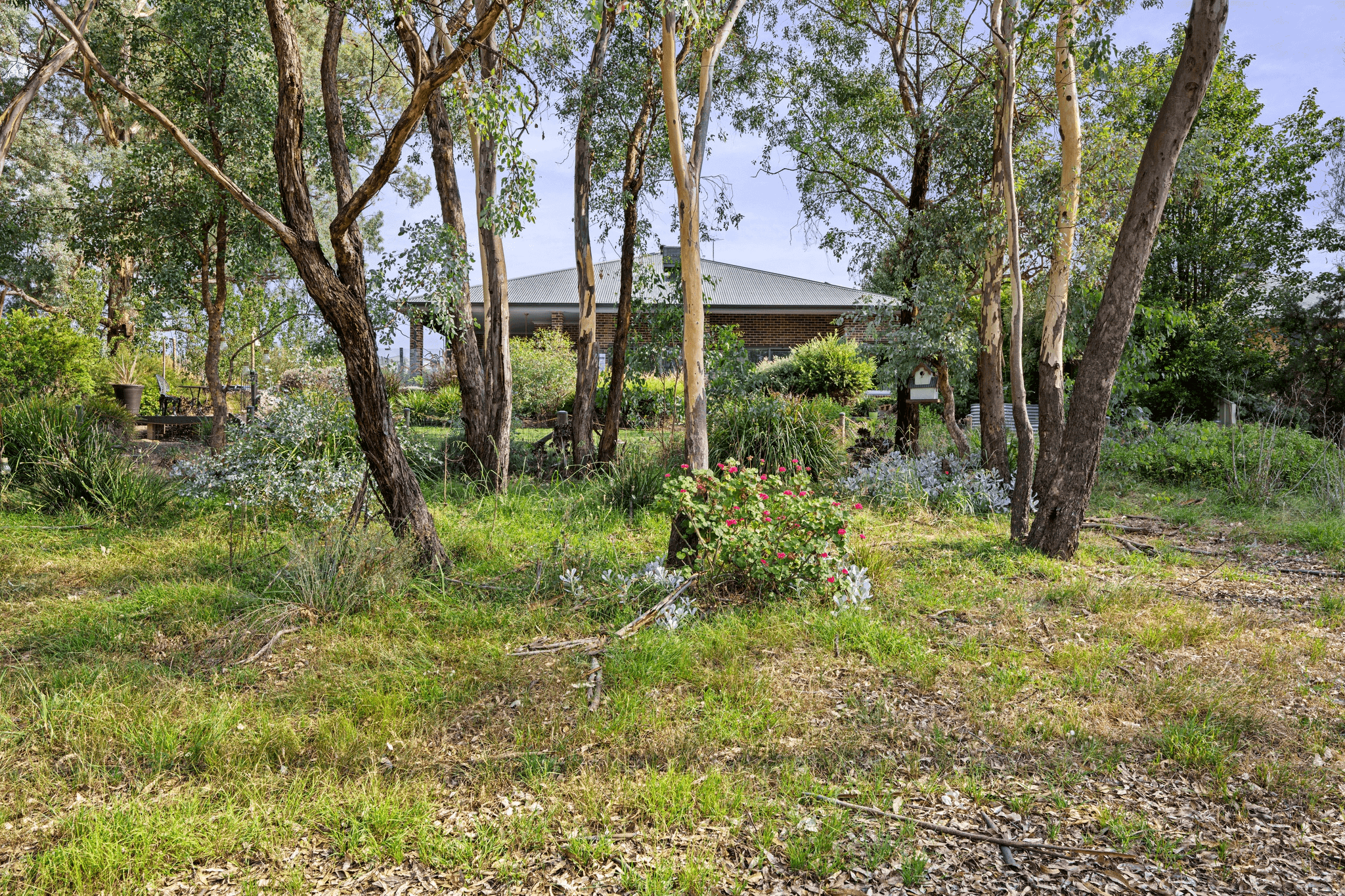 127 Pickworth Street, THURGOONA, NSW 2640