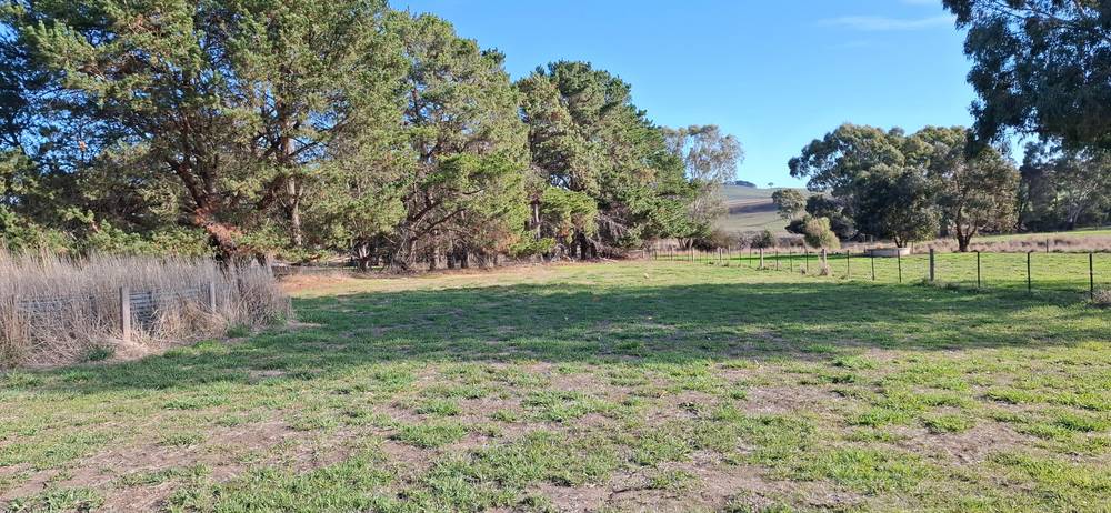 4534 Glenelg Highway, Coleraine, VIC 3315