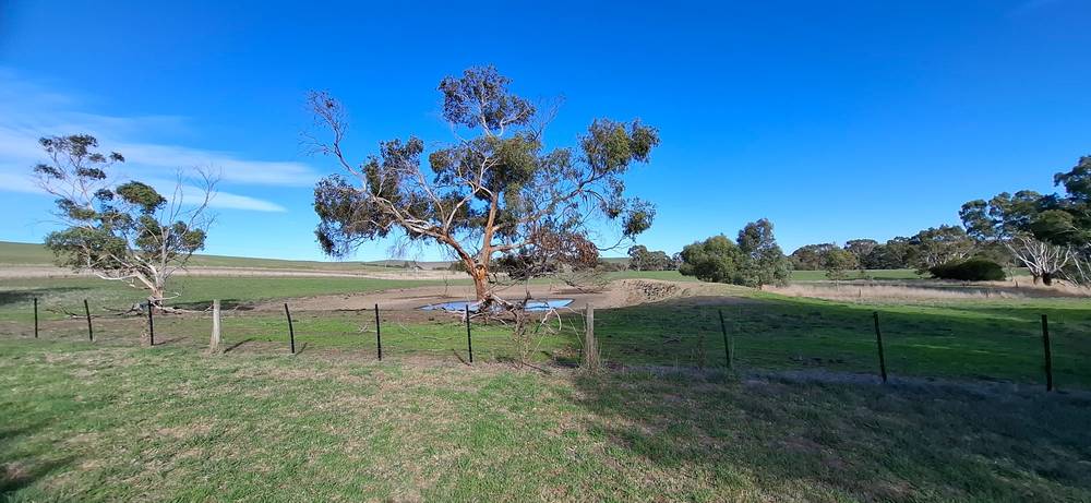 4534 Glenelg Highway, Coleraine, VIC 3315