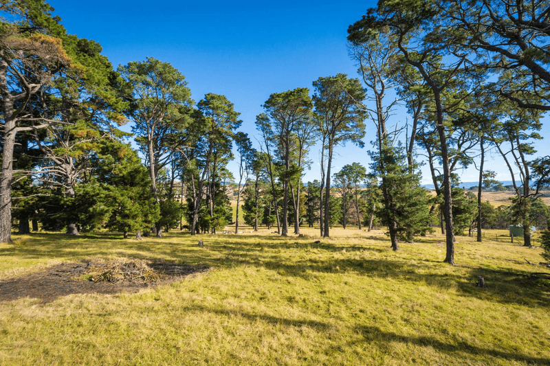 48 Springfield Road, KAMERUKA, NSW 2550