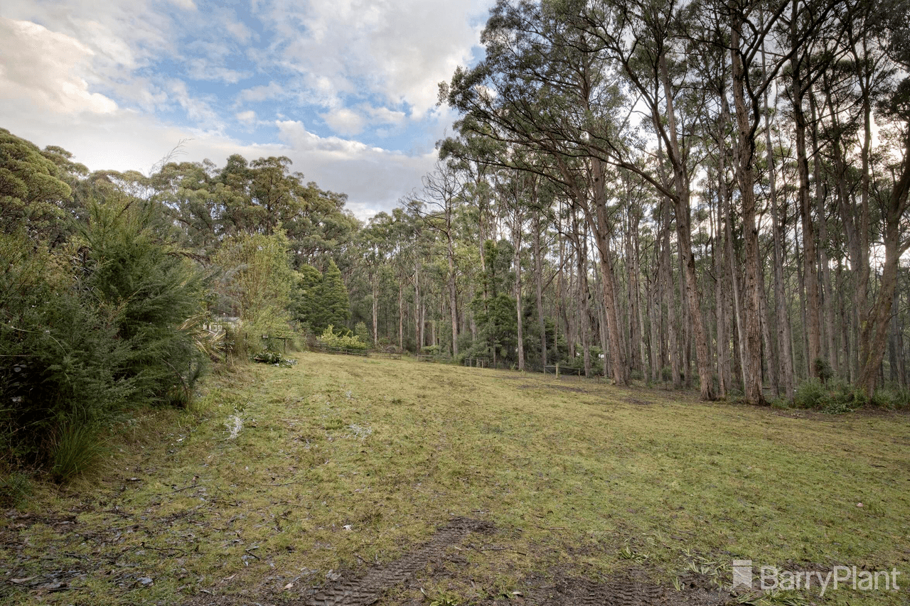 355 Beenak East, GEMBROOK, VIC 3783