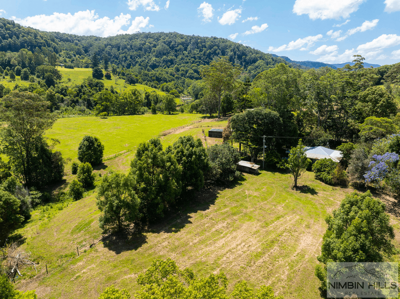 447 Terania Creek Road, TERANIA CREEK, NSW 2480