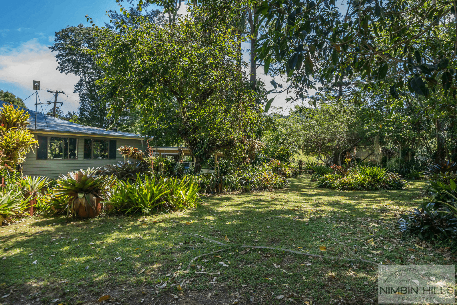 447 Terania Creek Road, TERANIA CREEK, NSW 2480